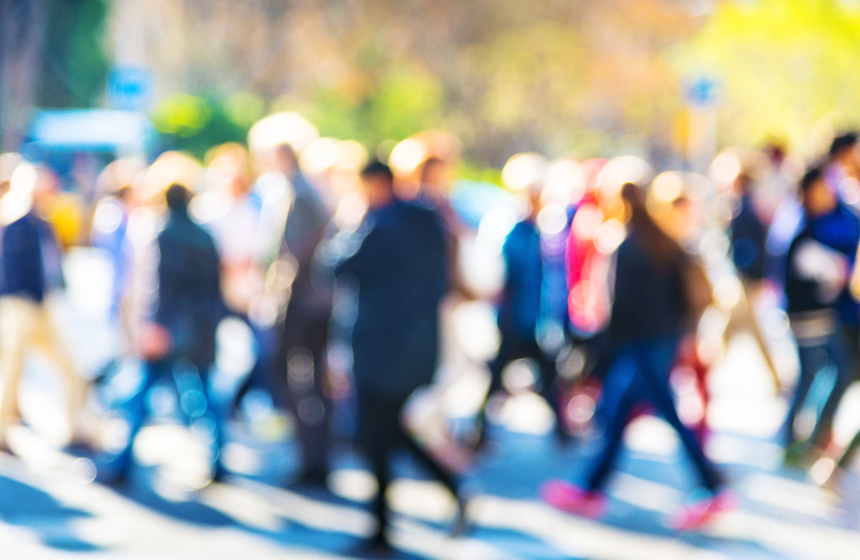 dreamstime_l_54243567