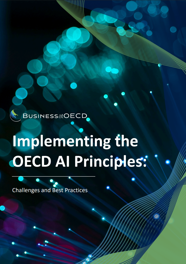 OECD AI principles