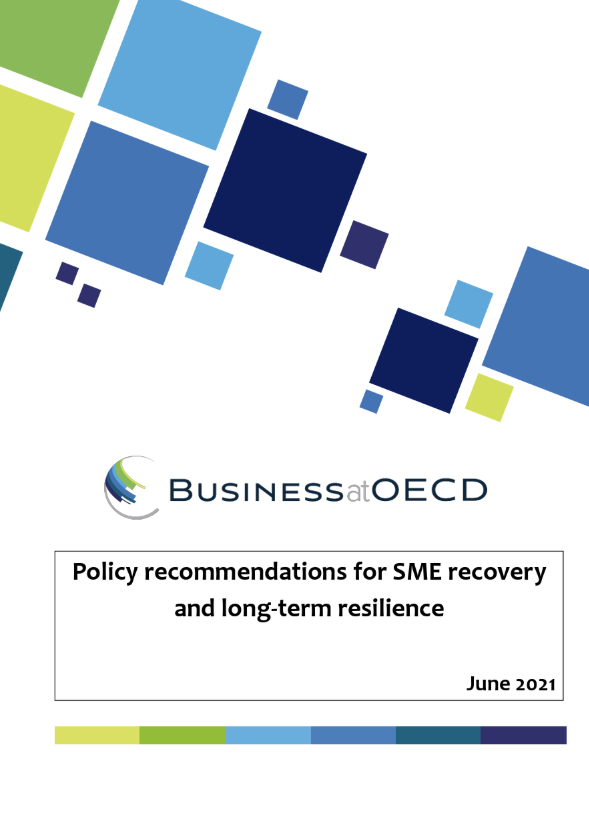 policy reco for SME recovery and long-term resilience